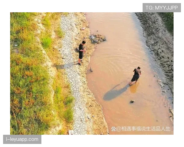 仲满退役后还在练剑?这自律劲儿真不是一般人能扛住的 仲满退役后还在练剑?这自律劲儿真不是一般人能扛住的