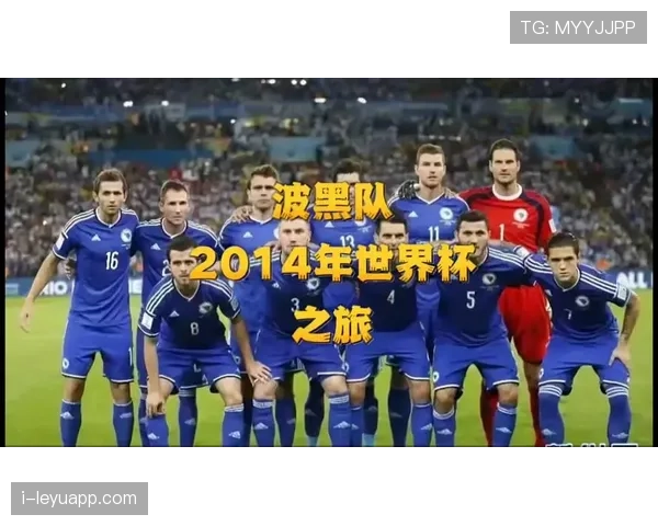 2026世界杯波黑队能否突破历史首次晋级正赛